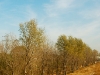 DSC_4745.jpg