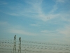 dsc_4746-2.jpg