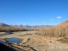 稻城