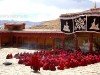长青春科尔寺