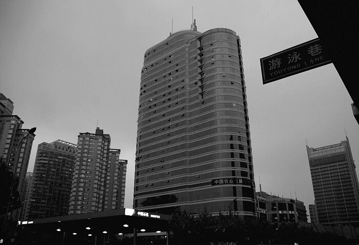 DSC_5669.jpg