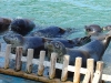 DSC03509re.jpg